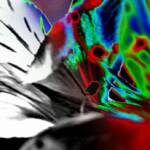 The mix  2000
Just mixing black & white 
with color - a sandwich effect.

8 x 10 in.    $   765
20 x 30 in.  $2,250